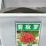 花海专用草花种籽大花剪秋罗种子多年生草本四季可播种剪秋萝