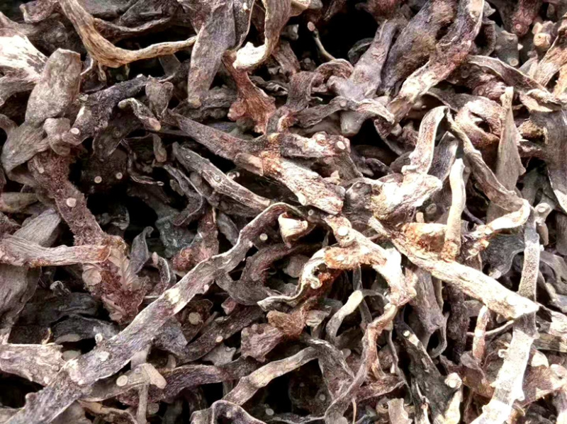 骨碎补【包邮】三斤起发货可批量可零售量大从优