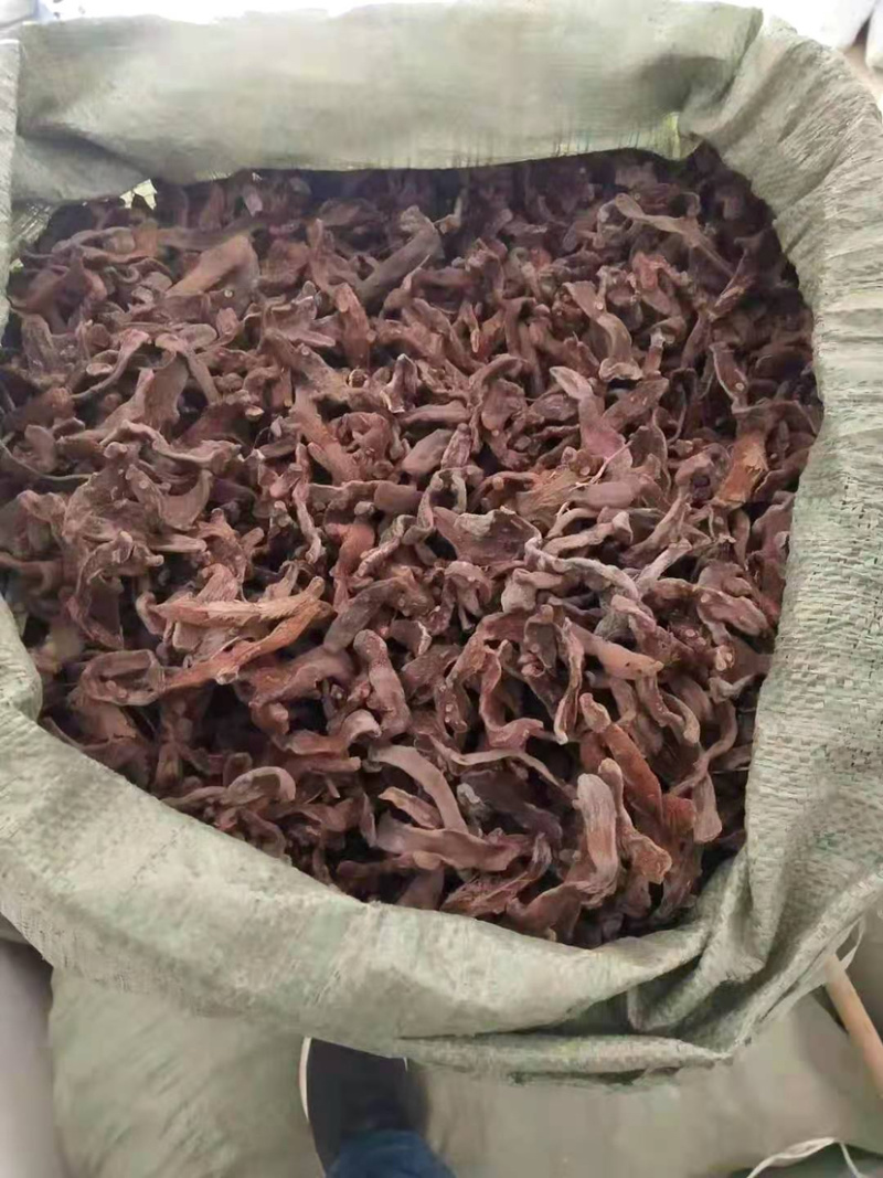 骨碎补【包邮】三斤起发货可批量可零售量大从优