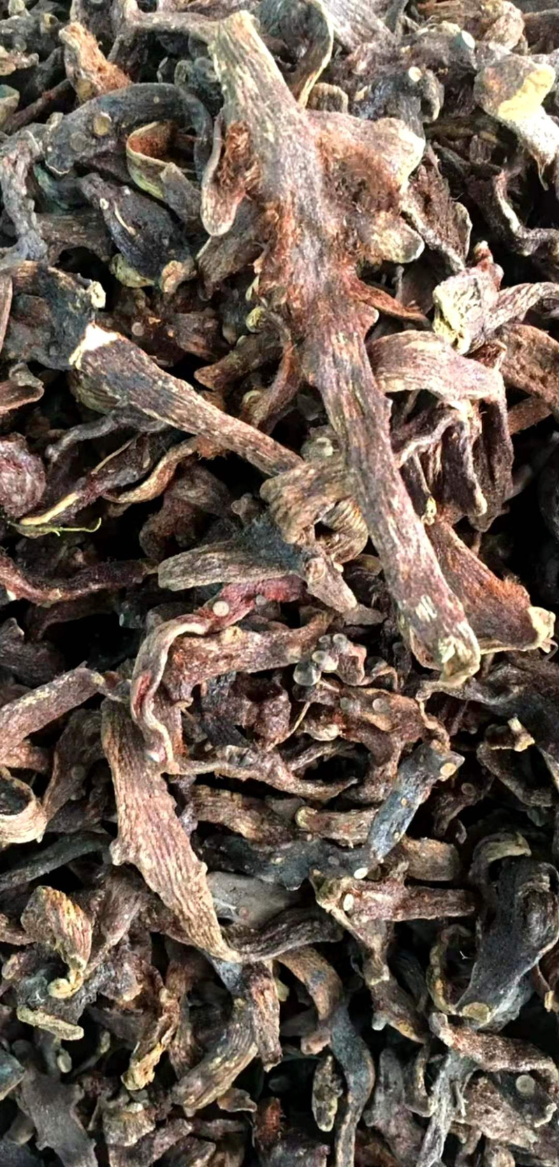 骨碎补【包邮】三斤起发货可批量可零售量大从优