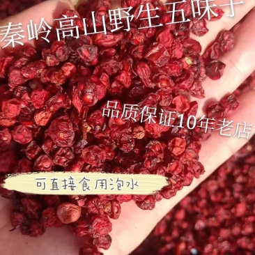 特级五味子，品质高质量好。实体店经营超10年