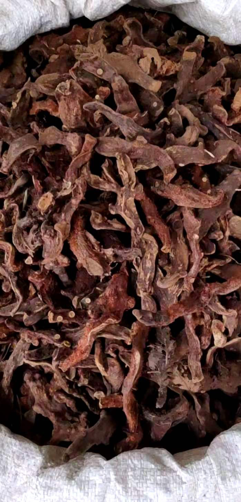 骨碎补【包邮】三斤起发货可批量可零售量大从优