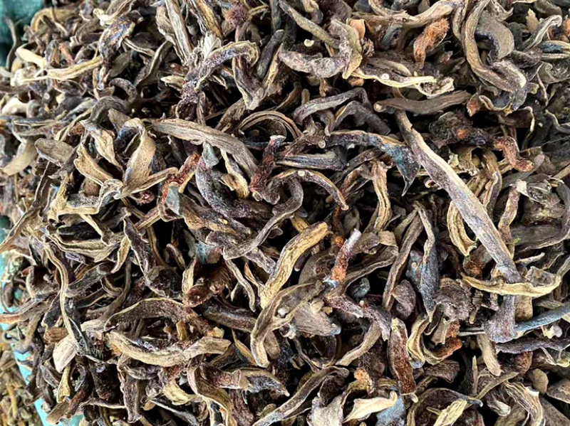 骨碎补【包邮】三斤起发货可批量可零售量大从优