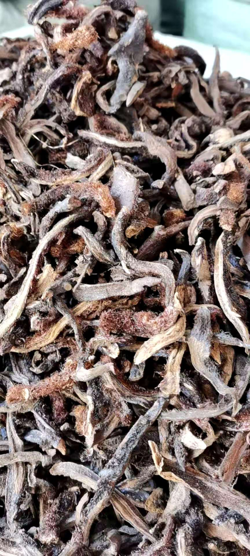 骨碎补【包邮】三斤起发货可批量可零售量大从优