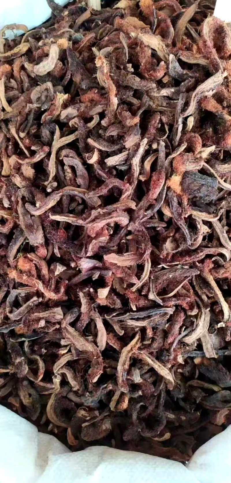 骨碎补【包邮】三斤起发货可批量可零售量大从优