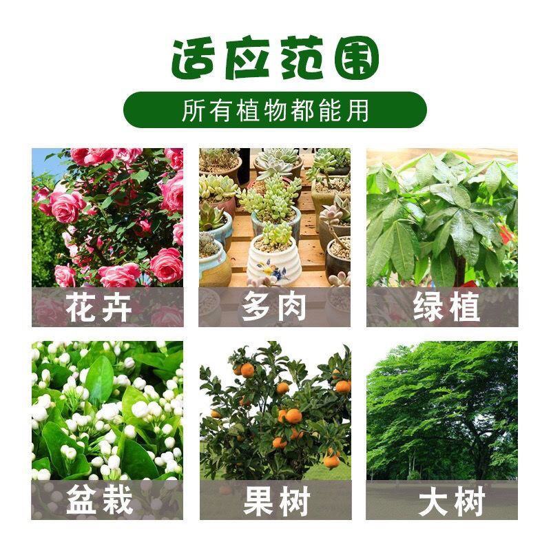江苏剑牌20%三唑酮白粉病锈病多肉花卉月季通用杀菌剂
