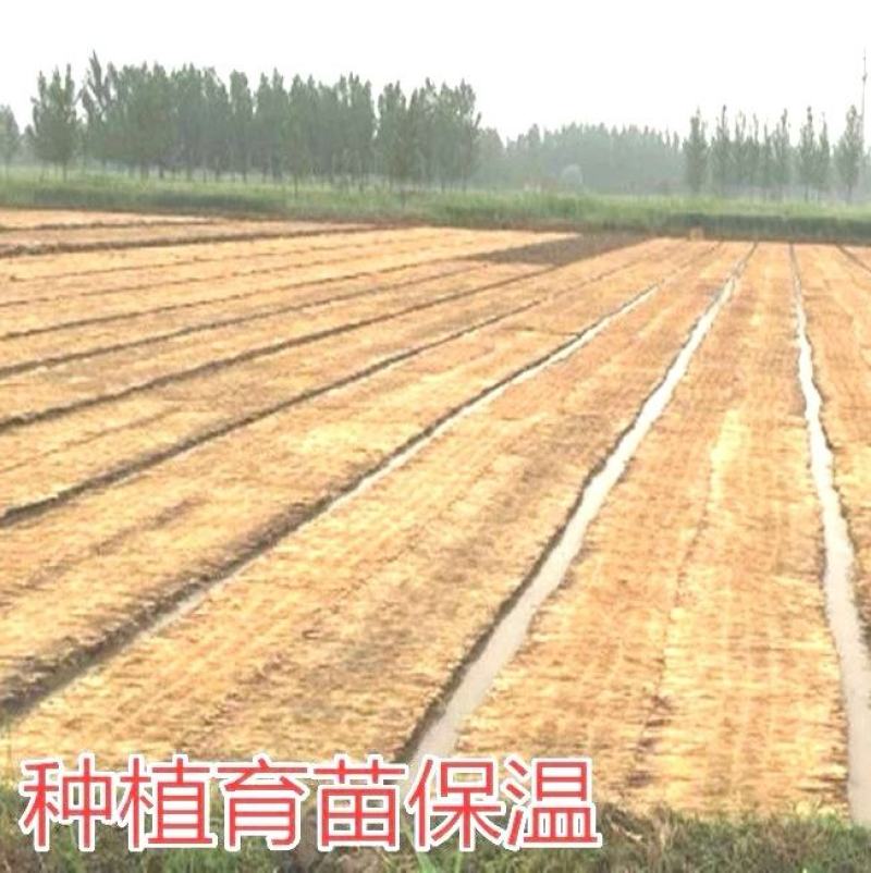 草帘子稻草帘大棚保温屋顶隔热防晒公路防滑保湿草垫子草毡干