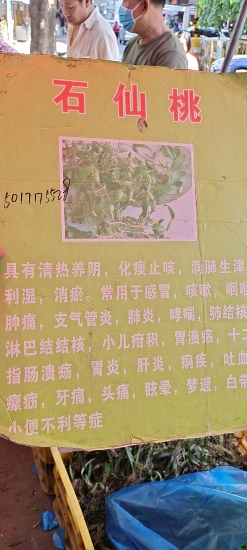 新鲜中药材批发和零售