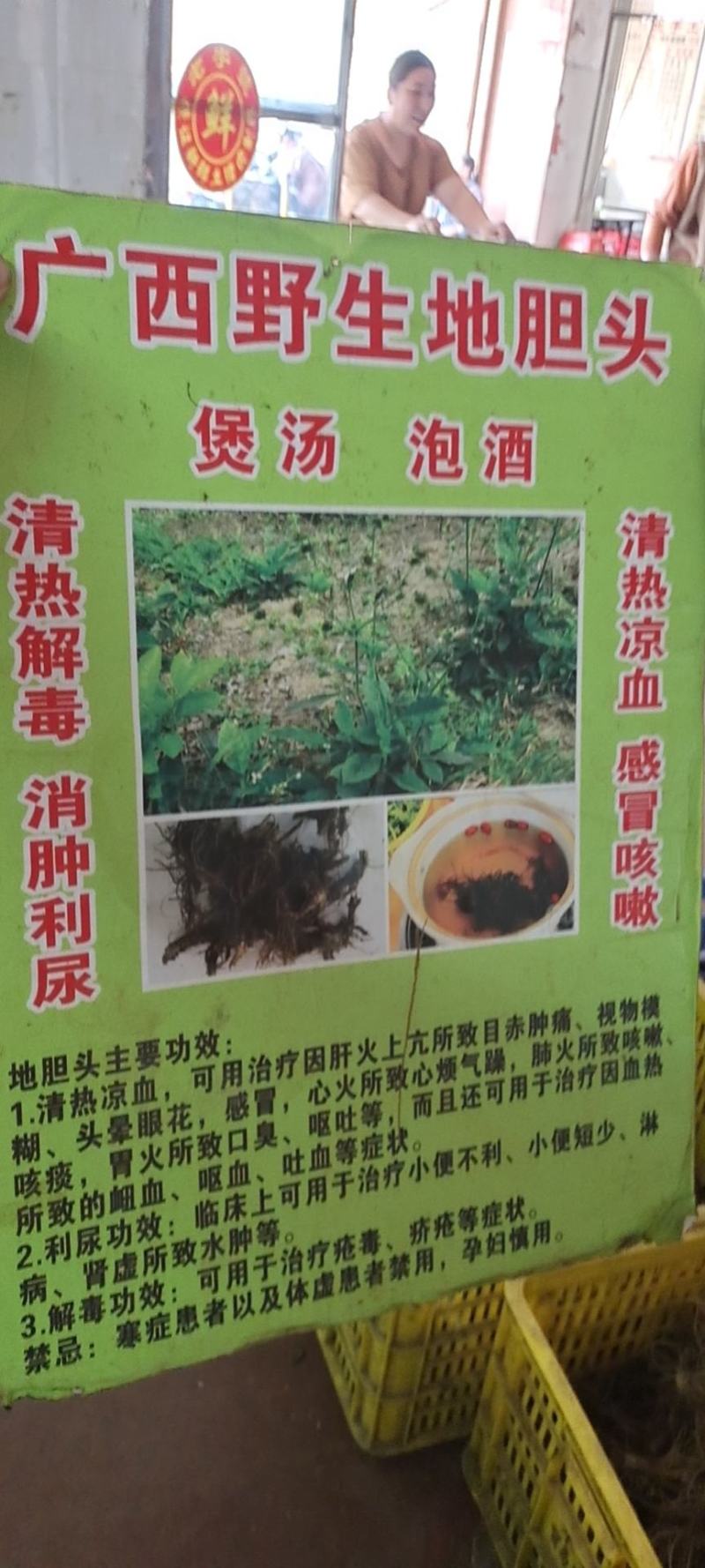 新鲜中药材批发和零售