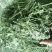 苜蓿草水分5-10甘肃省玉门市花海镇蛋白18-23左右