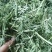 苜蓿草水分5-10甘肃省玉门市花海镇蛋白18-23左右