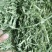 苜蓿草水分5-10甘肃省玉门市花海镇蛋白18-23左右