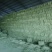 苜蓿草水分5-10甘肃省玉门市花海镇蛋白18-23左右