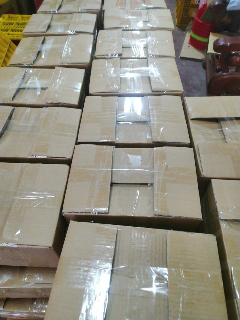 大量供应广西桂林，清香纯甜多汁的清香蜜桔