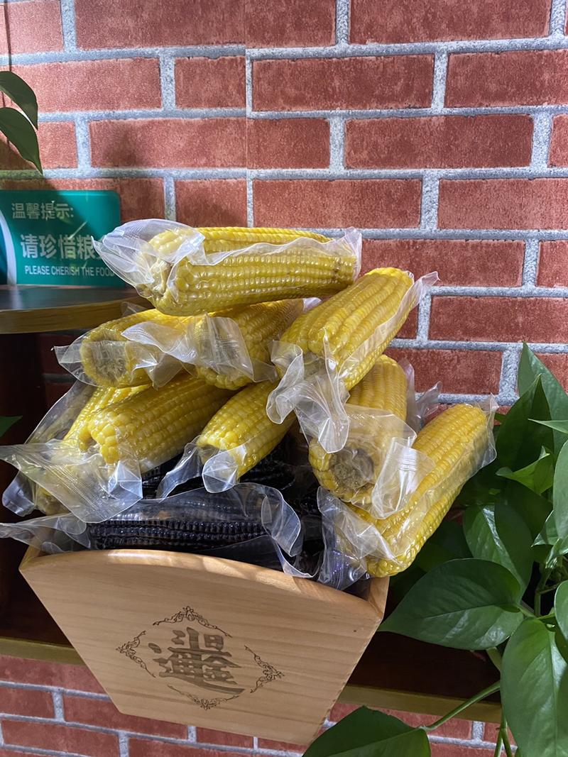 东北糯玉米真空包装东北甜糯黄、白、黑玉米社区团购一件代发
