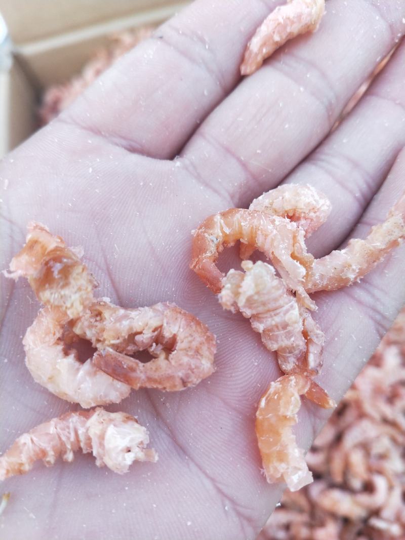 金钩海米，对虾米，各种价位大量现货，不包邮批发价