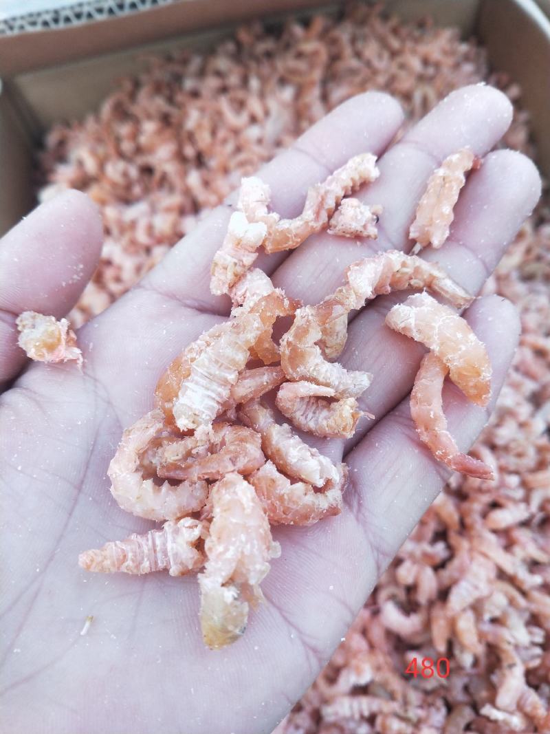 金钩海米，对虾米，各种价位大量现货，不包邮批发价