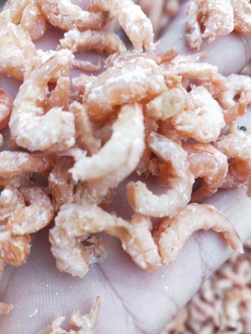 金钩海米，对虾米，各种价位大量现货，不包邮批发价