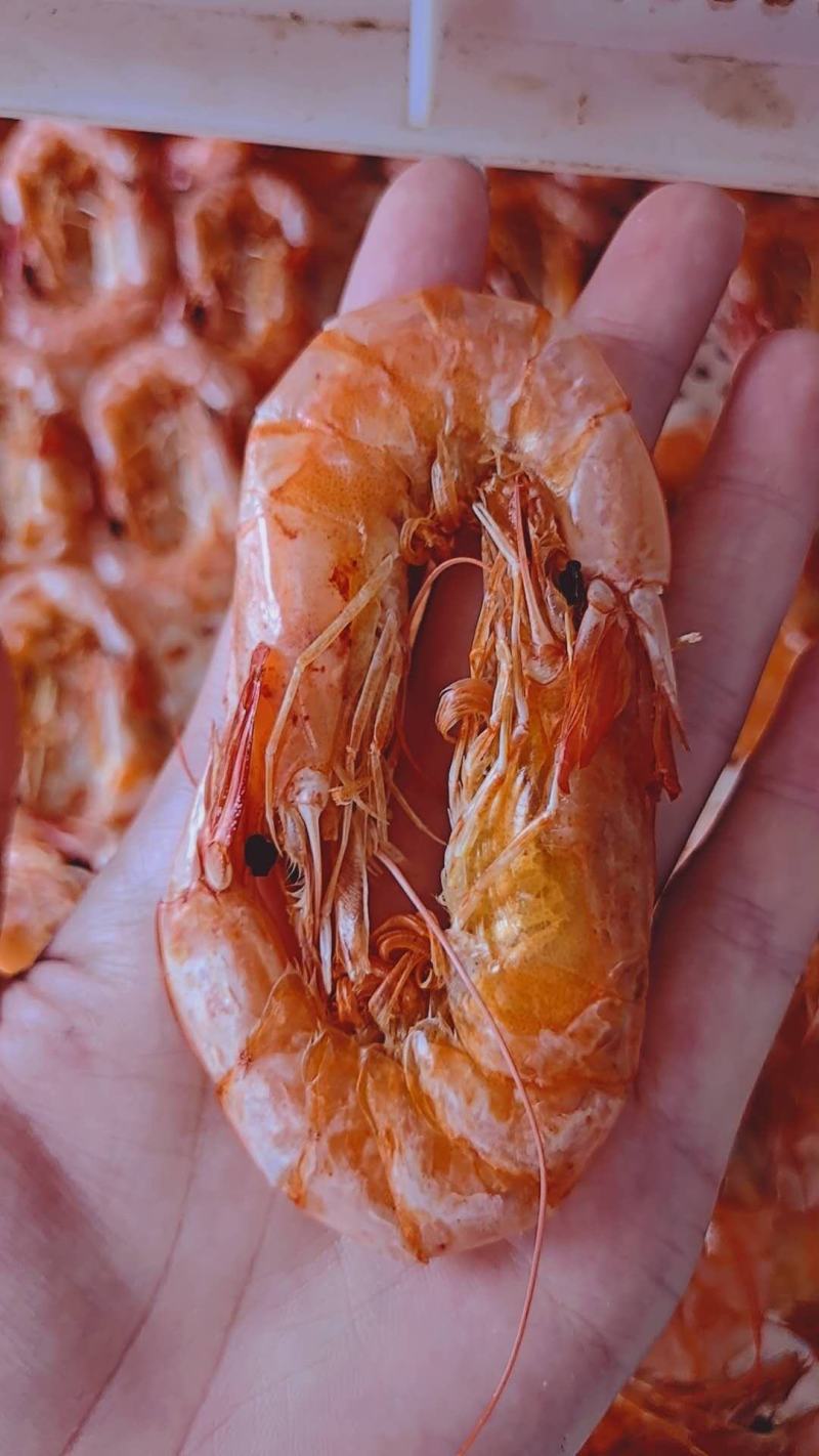烤虾干，都是海水活虾碳烤，自家加工，保质保量，一手货源