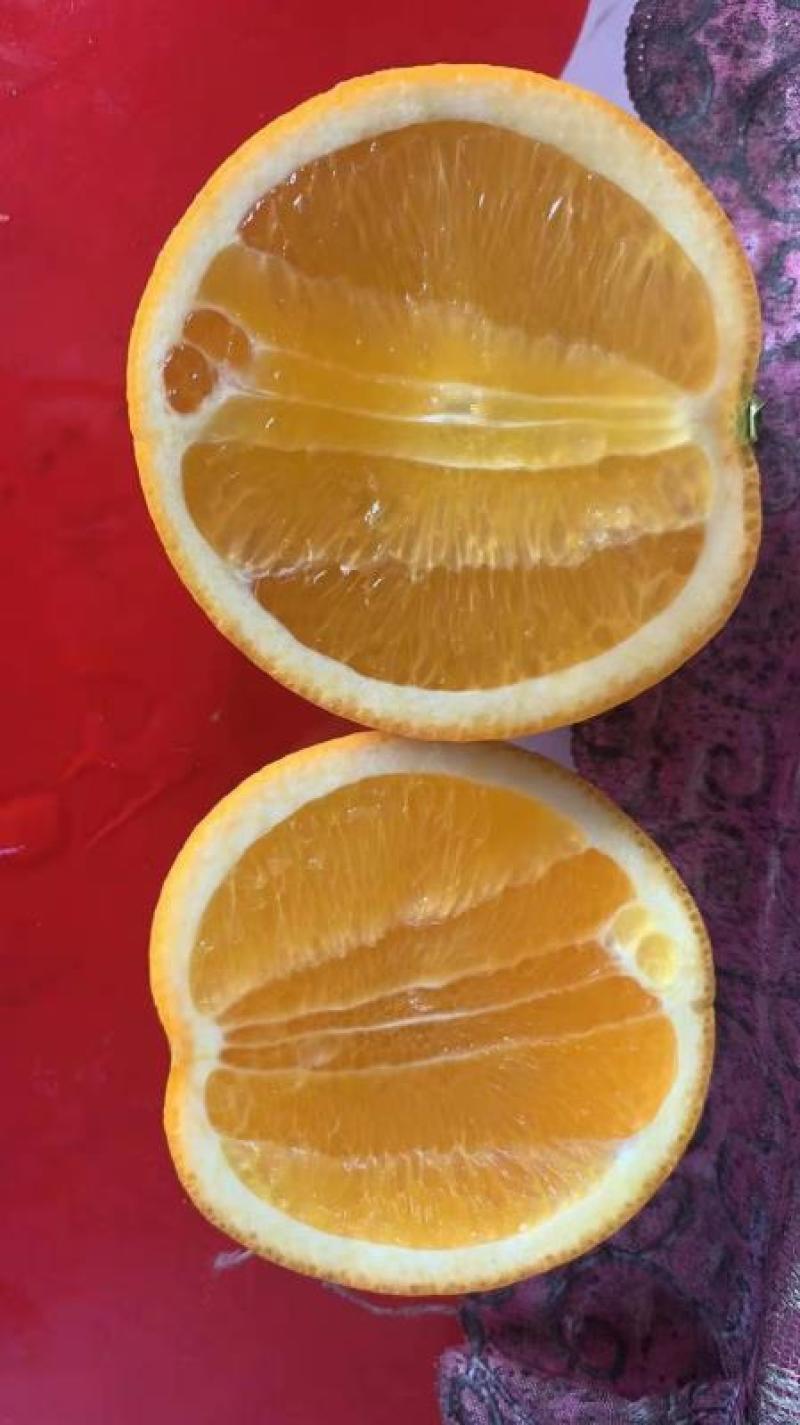 大量湖南上市脐橙12345678122333