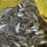 青竹鱼苗，青竹鲤，大量供应欢迎各位养殖户订购？