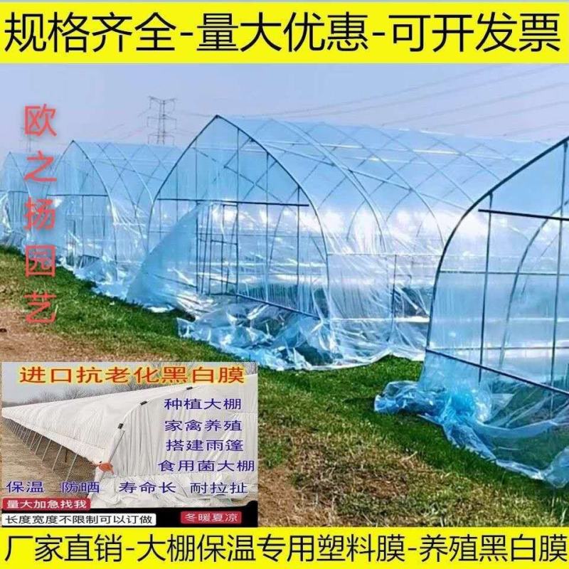 加厚塑料布防老化蔬菜大棚无滴膜防风防水农用养殖白塑料膜塑