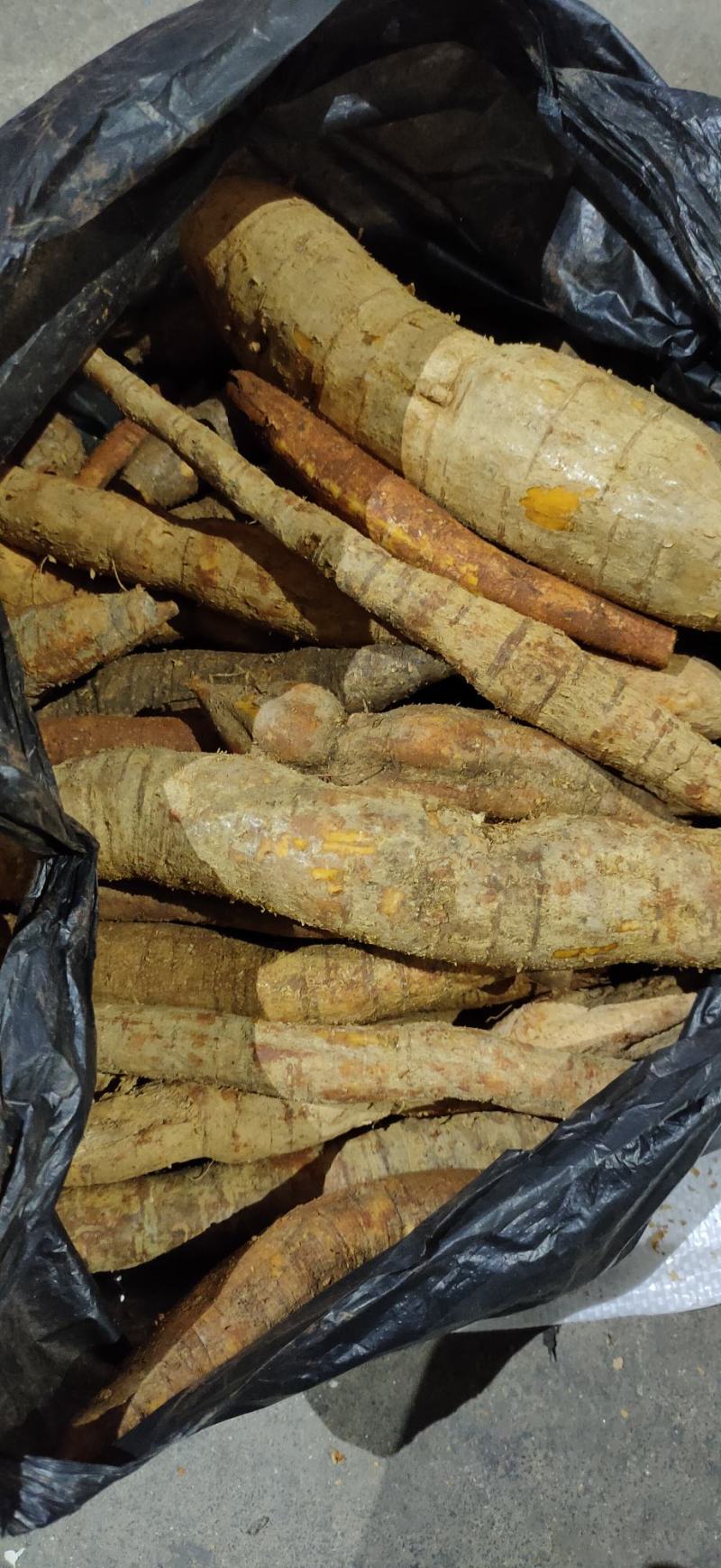 野生牛大力薯，煲汤泡酒，等！！！！！