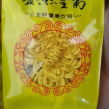 2020年新金丝皇菊上市价格实惠