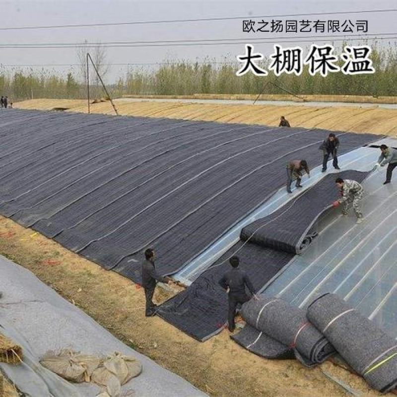 土工布毛毡大棚保温棉被黑心棉公路养护毯子