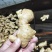 优质姜母辣味足原料姜切丝切片姜疗中药用姜电商全国物流发货