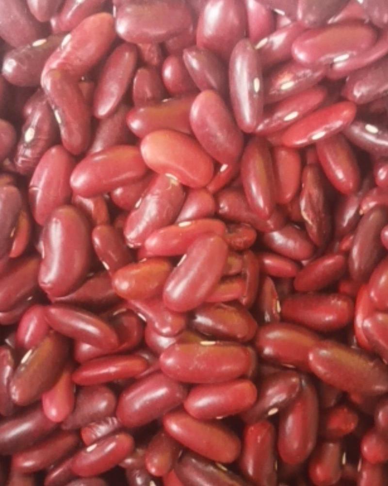 红腰豆，今年新货质量好价格实惠