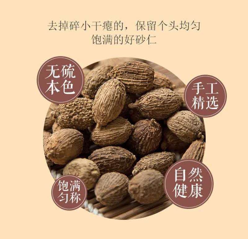 砂仁阳春砂仁调味香料调味品火锅底料广东福建云南源产地批发
