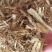 当归尾片新货无硫质量保证量大优惠
