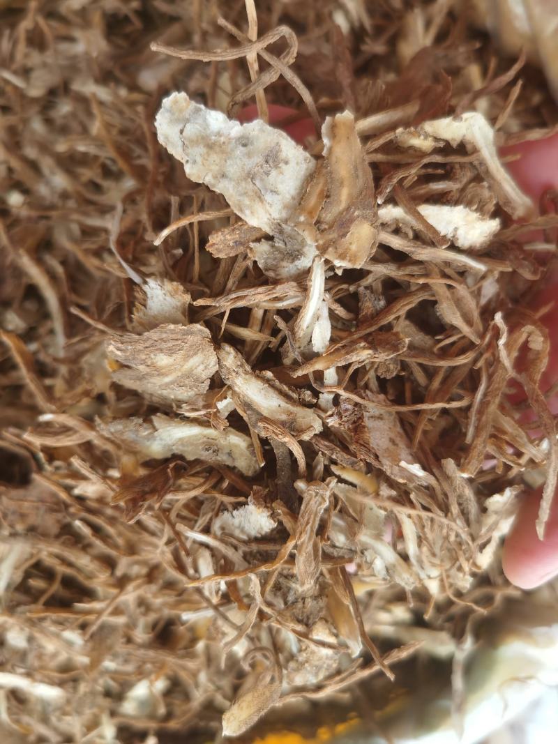 当归尾片新货无硫质量保证量大优惠
