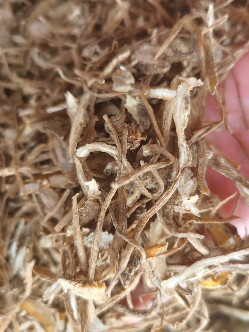 当归尾片新货无硫质量保证量大优惠