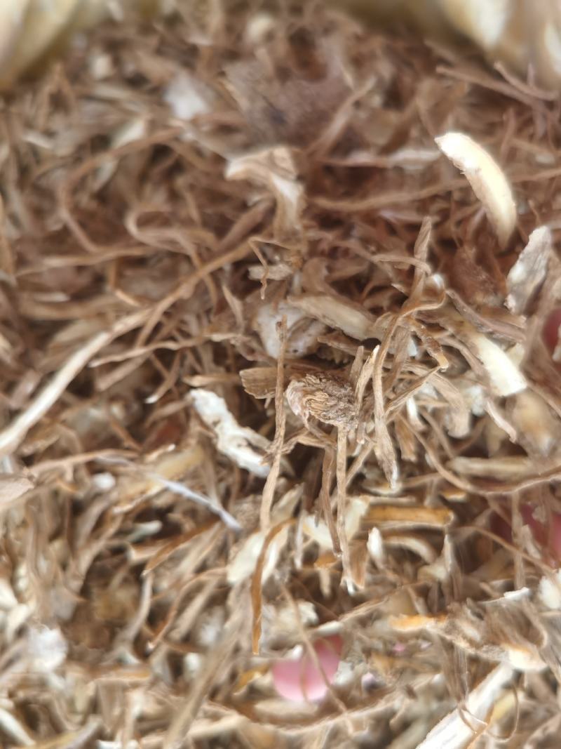 当归尾片新货无硫质量保证量大优惠