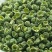 青花椒青花麻椒天然无硫调味香料调味品火锅底料四川批发