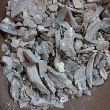 振兴中药材批发供应石决明产地较广散装批发