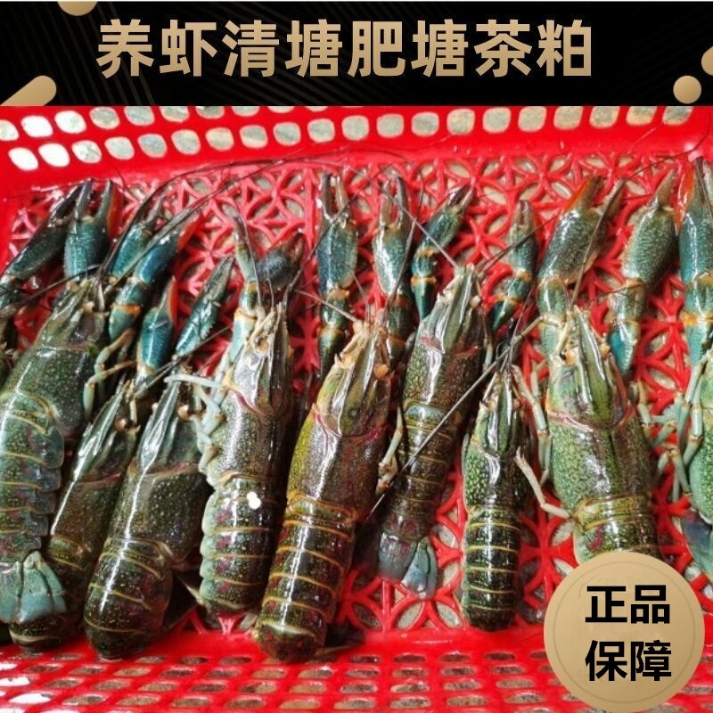 茶粕杀杂鱼茶麸有机茶枯粕茶籽粕茶麸粕清塘养殖园林杀虫杀螺