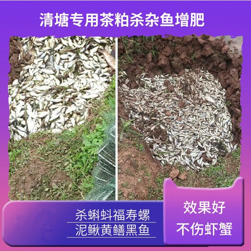 茶粕杀杂鱼茶麸有机茶枯粕茶籽粕茶麸粕清塘养殖园林杀虫杀螺