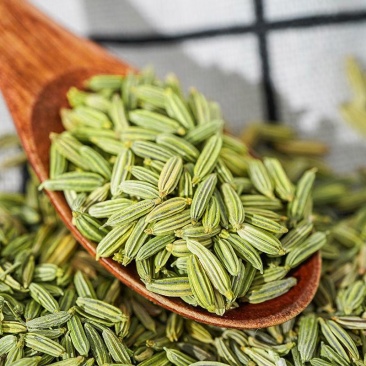 茴香特绿小茴香调味品香辛烧烤料火锅底料印尼甘肃产地零售