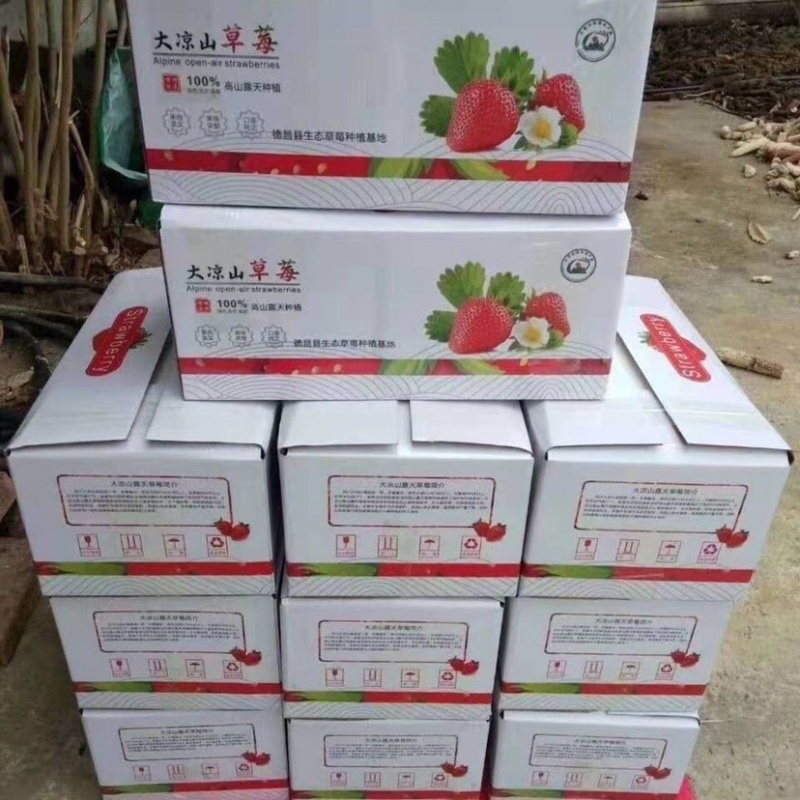 四川大凉山草莓线上线下一件代发，十一月初开始