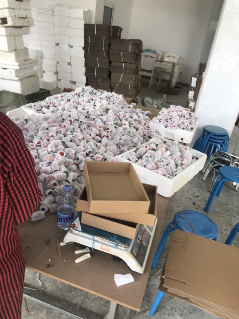 四川大凉山草莓线上线下一件代发，十一月初开始