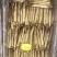 高丽参无糖新货长白山高丽参500g包邮