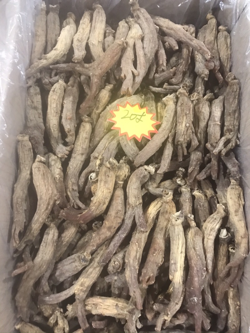 高丽参无糖新货长白山高丽参500g包邮