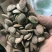 瓜蒌瓜蒌子无硫精品瓜蒌子干净无杂质一手货源