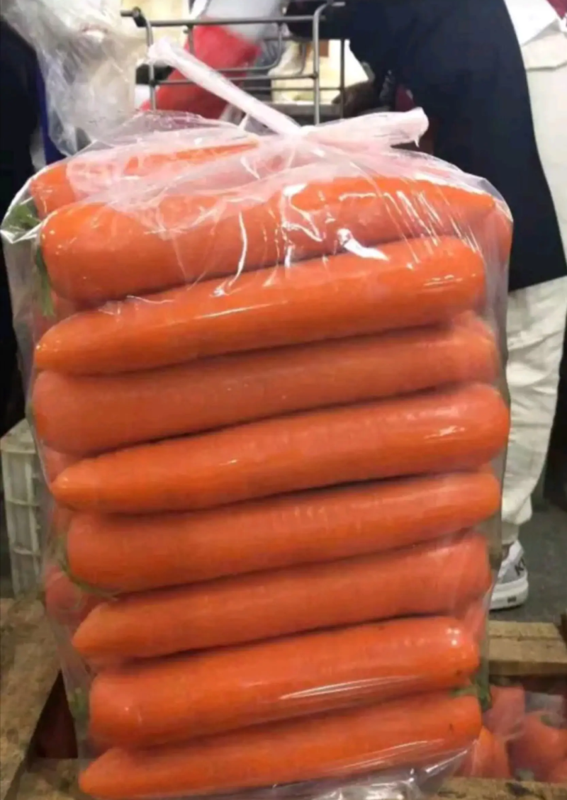 河南开封新鲜胡萝卜，精品三红萝卜产地直供水洗土货都有