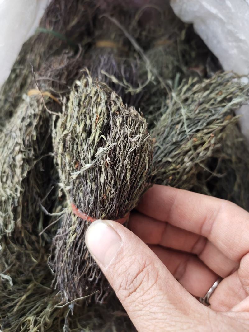 广西本地货独脚金独脚甘短货颜色青绿