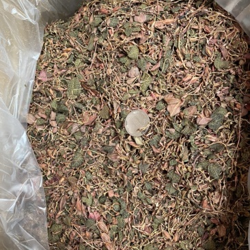 红杆小圆叶金线莲干品/精洗货