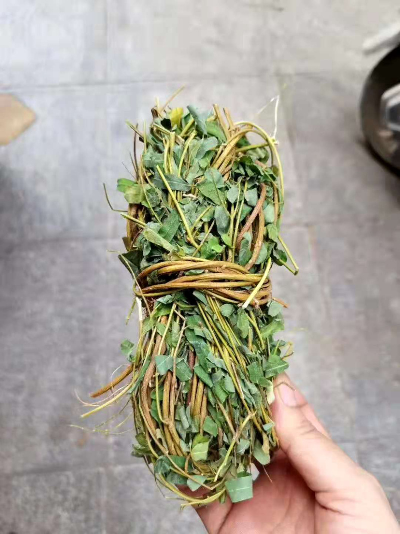 鸡骨草【包邮】各种规格有货可批量可零售量大从优